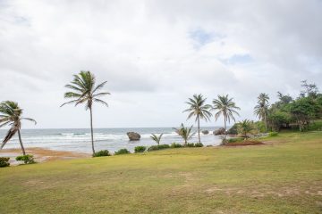 Bathsheba & The Soup Bowl