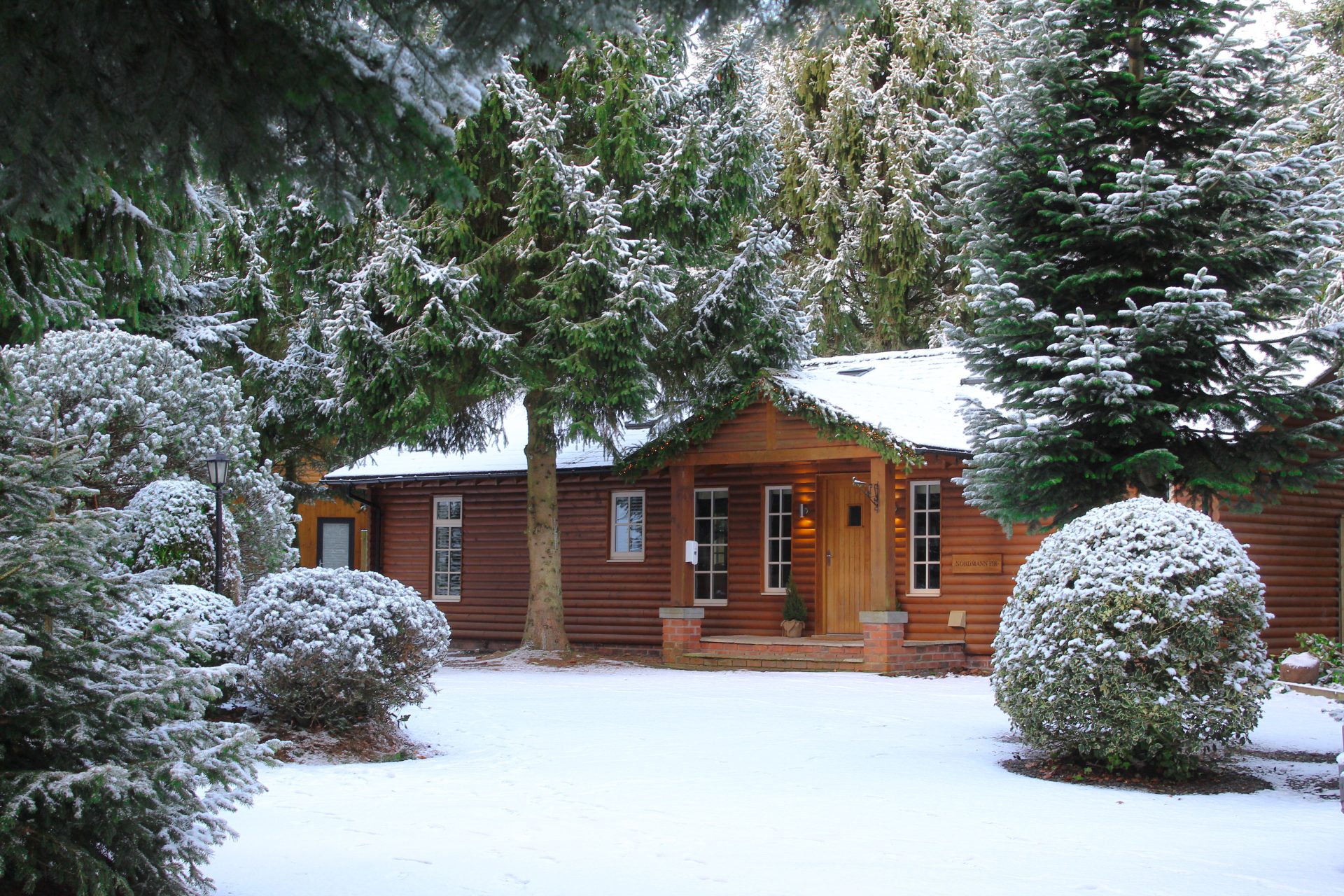 Christmas at The Hollies Forest Lodges