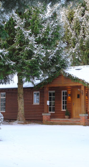 Christmas at The Hollies Forest Lodges